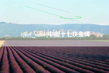 怀化中国十七块金牌