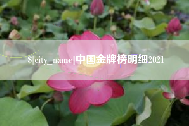 怀化中国金牌榜明细2021