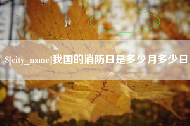 怀化我国的消防日是多少月多少日
