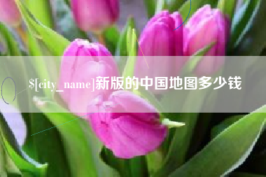 怀化新版的中国地图多少钱