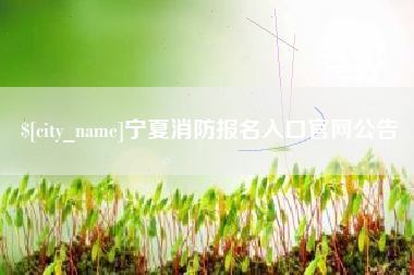 怀化宁夏消防报名入口官网公告