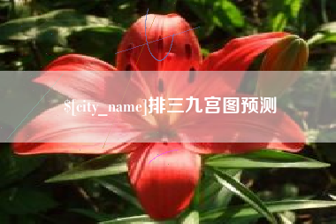 怀化排三九宫图预测
