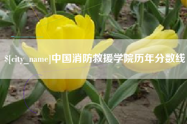 怀化中国消防救援学院历年分数线