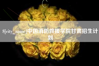 怀化中国消防救援学院甘肃招生计划
