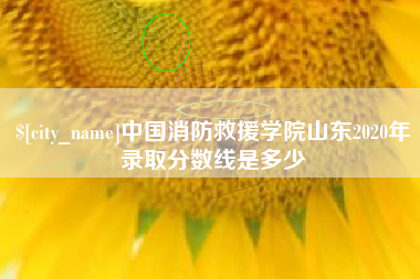 怀化中国消防救援学院山东2020年录取分数线是多少