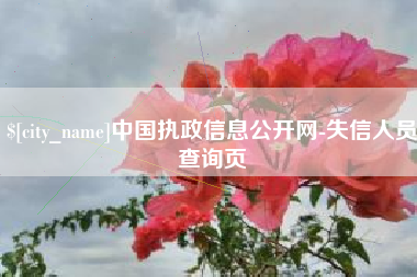 怀化中国执政信息公开网-失信人员查询页