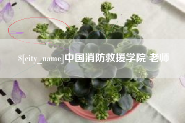 怀化中国消防救援学院 老师