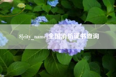 怀化全国消防证书查询