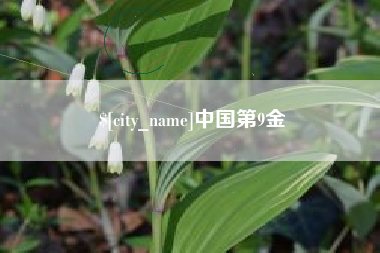 怀化中国第9金