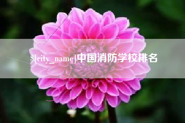 怀化中国消防学校排名