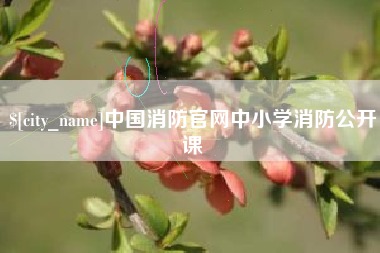 怀化中国消防官网中小学消防公开课
