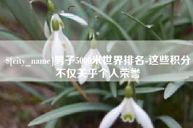 怀化男子5000米世界排名-这些积分不仅关乎个人荣誉