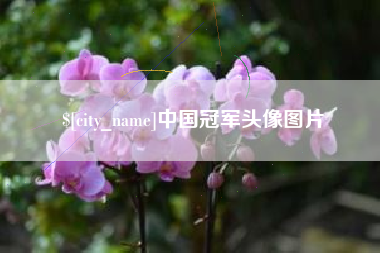 怀化中国冠军头像图片