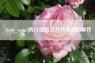 怀化执行信息公开网查到的案件