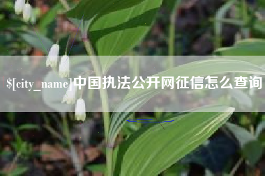 怀化中国执法公开网征信怎么查询