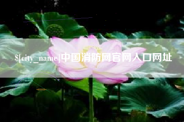 怀化中国消防网官网入口网址