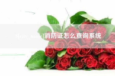 怀化消防证怎么查询系统