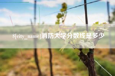 怀化消防大学分数线是多少