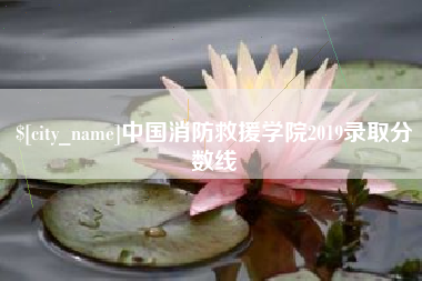 怀化中国消防救援学院2019录取分数线