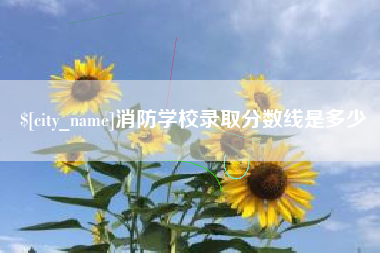 怀化消防学校录取分数线是多少
