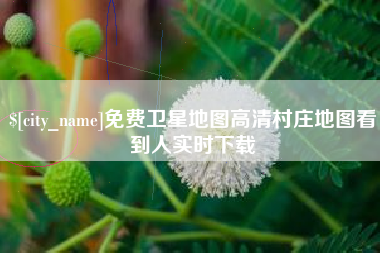 怀化免费卫星地图高清村庄地图看到人实时下载