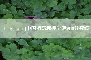 怀化中国消防救援学院2018分数线