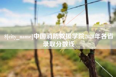 怀化中国消防救援学院2020年各省录取分数线