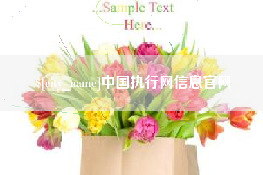 怀化中国执行网信息官网