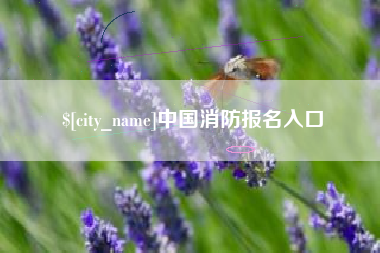 怀化中国消防报名入口