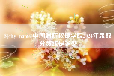 怀化中国消防救援学院2024年录取分数线是多少
