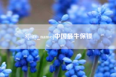 怀化中国最牛保镖