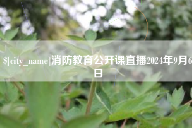 怀化消防教育公开课直播2024年9月6日