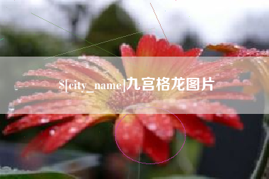 怀化九宫格龙图片