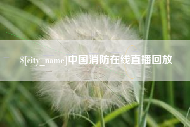 怀化中国消防在线直播回放