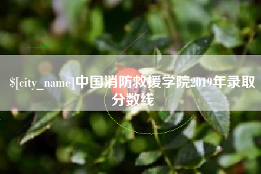怀化中国消防救援学院2019年录取分数线
