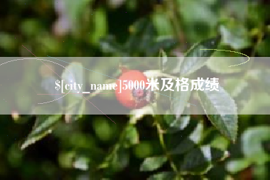 怀化5000米及格成绩