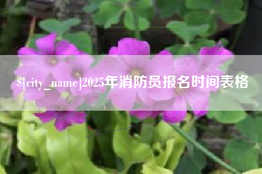怀化2025年消防员报名时间表格