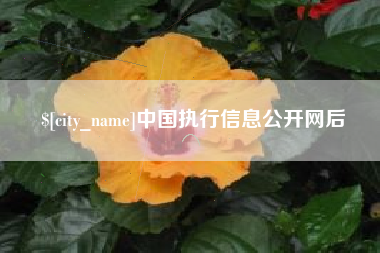 怀化中国执行信息公开网后