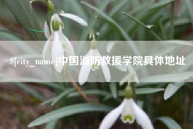 怀化中国消防救援学院具体地址