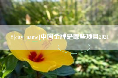 怀化中国金牌是哪些项目2021