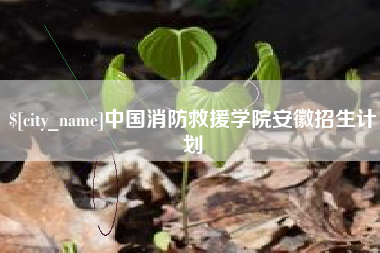 怀化中国消防救援学院安徽招生计划