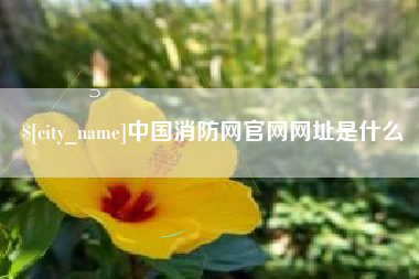 怀化中国消防网官网网址是什么