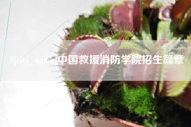 怀化中国救援消防学院招生简章