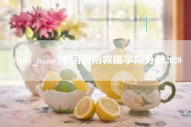 怀化中国消防救援学院分数2020