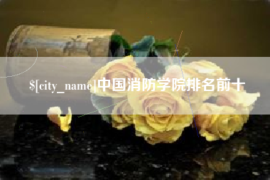 怀化中国消防学院排名前十