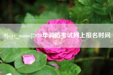 怀化2020年消防考试网上报名时间