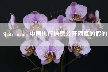 怀化中国执行信息公开网真的假的