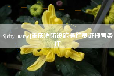怀化重庆消防设施操作员证报考条件