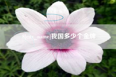 怀化我国多少个金牌