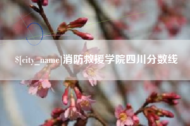 怀化消防救援学院四川分数线